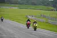 Middle Group Yellow Bikes